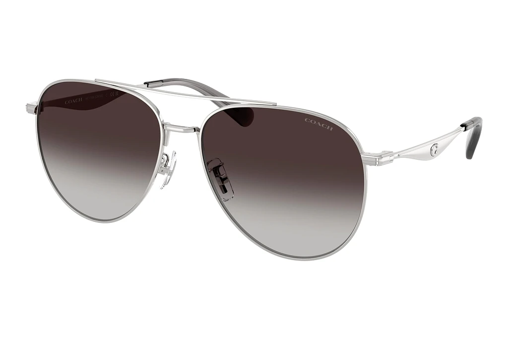 Coach   HC7169 90013C Grey GradientShiny Silver