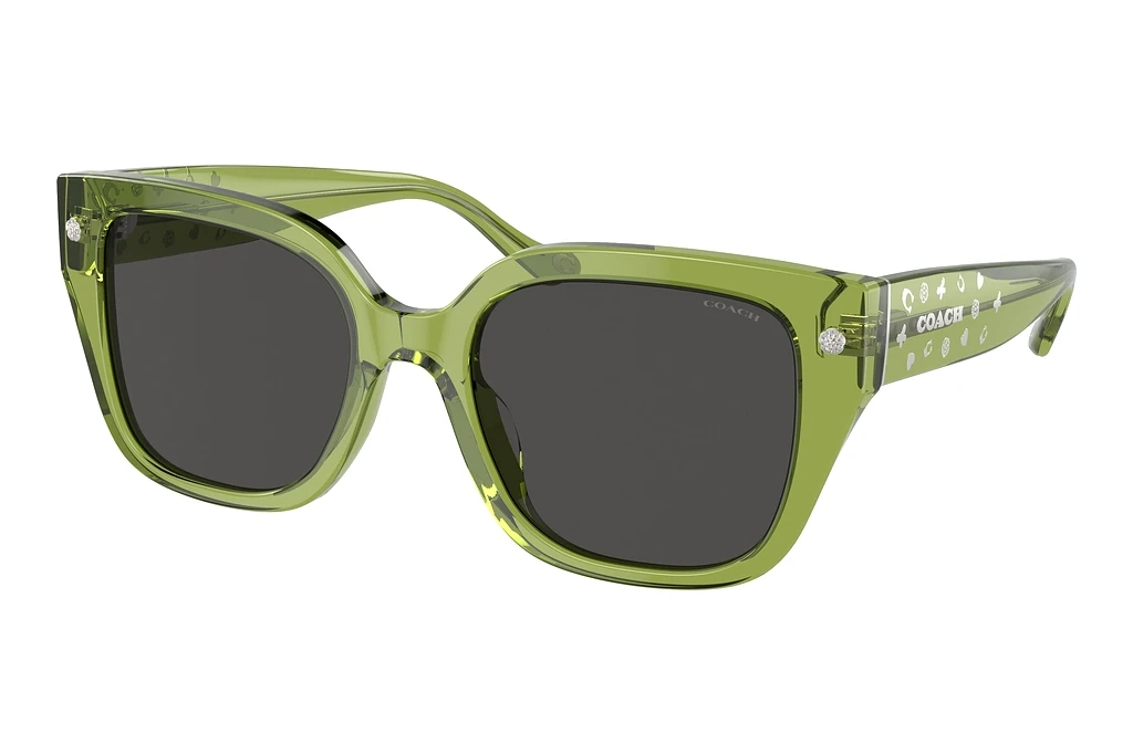 Coach   HC8392U 581087 Grey SolidTransparent Key Lime