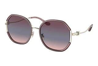Coach HC7144BD 94160J Purple Blue Pink GradientLight Gold / Purple