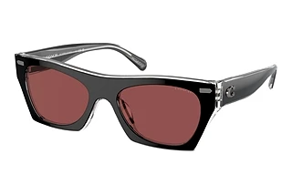 Coach HC8389U 572875 VioletBlack/Clear