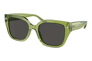 Coach HC8392U 581087 Grey SolidTransparent Key Lime