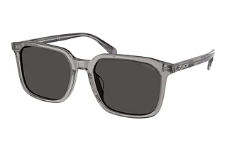 Coach HC8411U 584987 Grey SolidTransparent Grey
