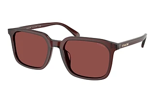 Coach HC8411U 585075 Wine SolidTransparent Mahogany