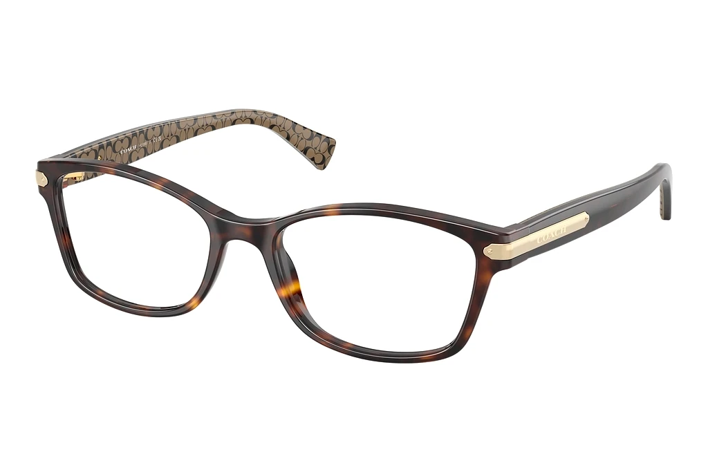 Coach   HC6065 5291 Dark Tortoise