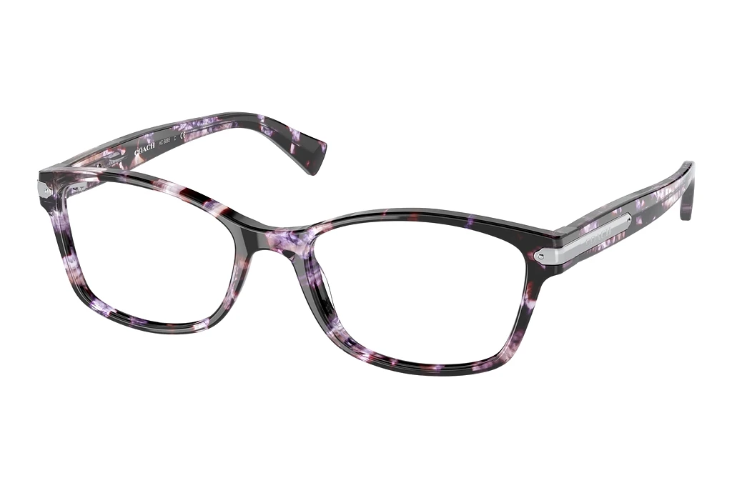 Coach   HC6065 5548 Purple Tortoise