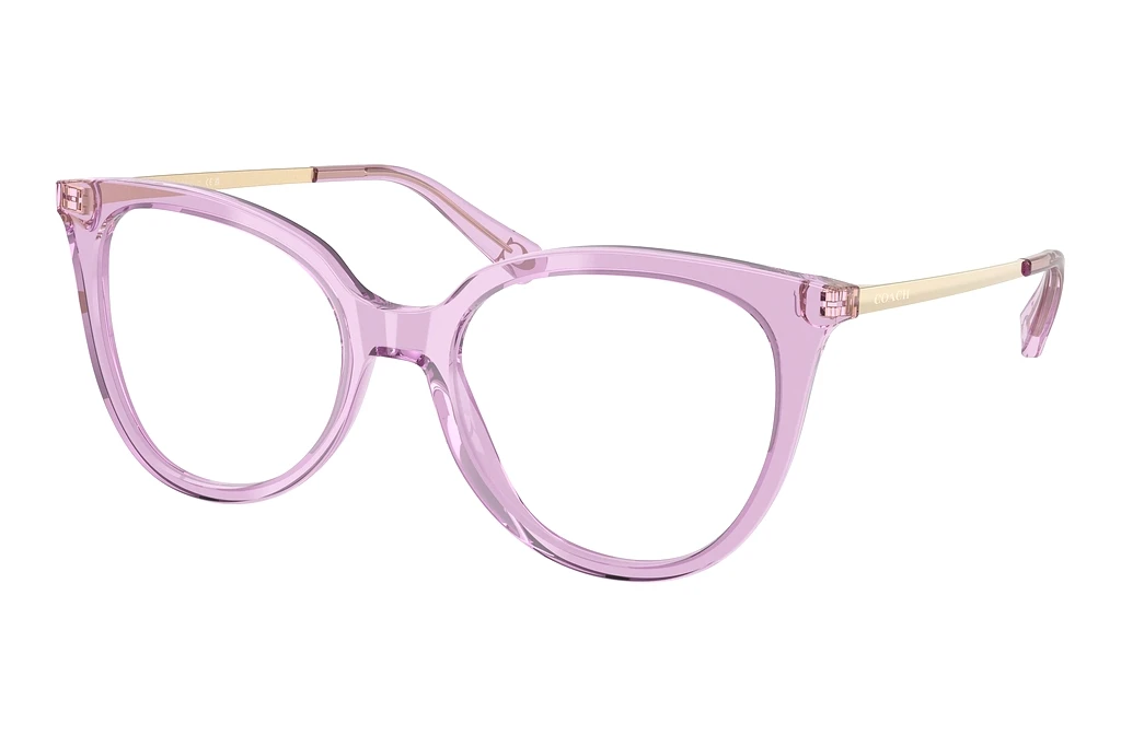 Coach   HC6125 5400 Transparent Amethyst