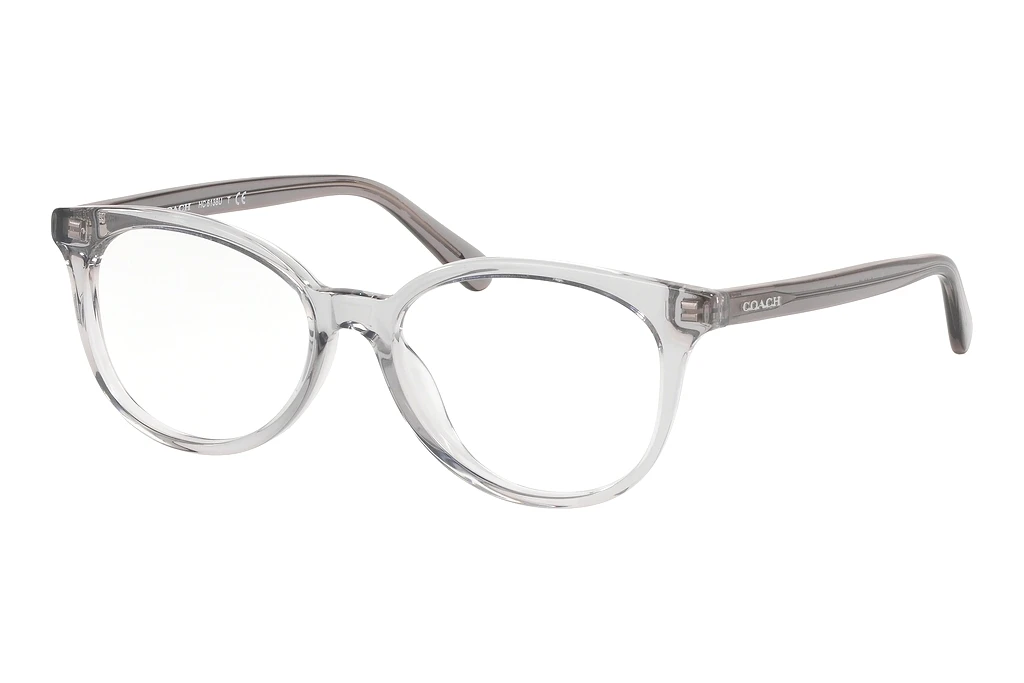 Coach   HC6138U 5176 Transparent Grey