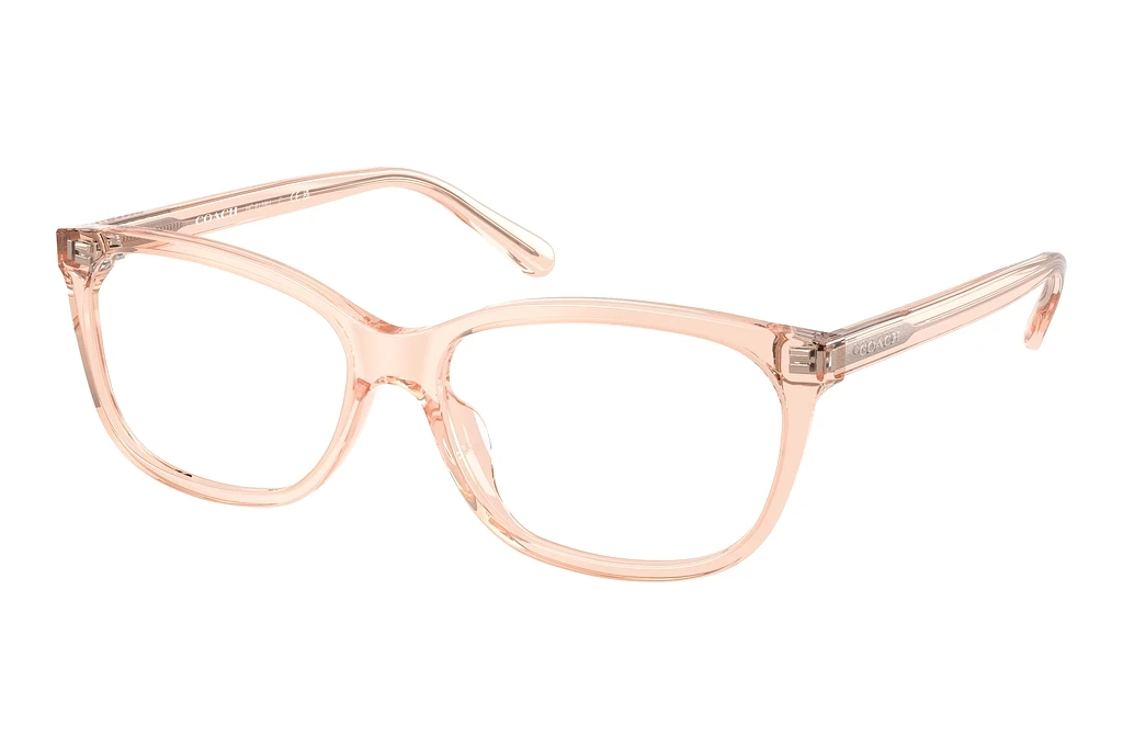 Coach   HC6139U 5556 Transparent Pink