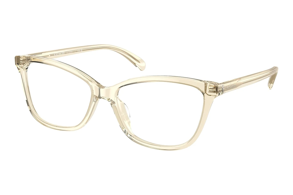 Coach   HC6206U 5736 Transparent Fawn
