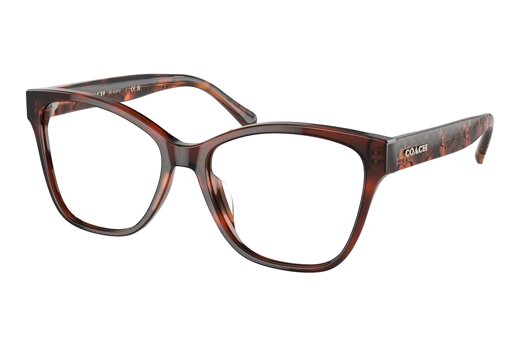 Coach   HC6207U 5741 Caramel Tortoise
