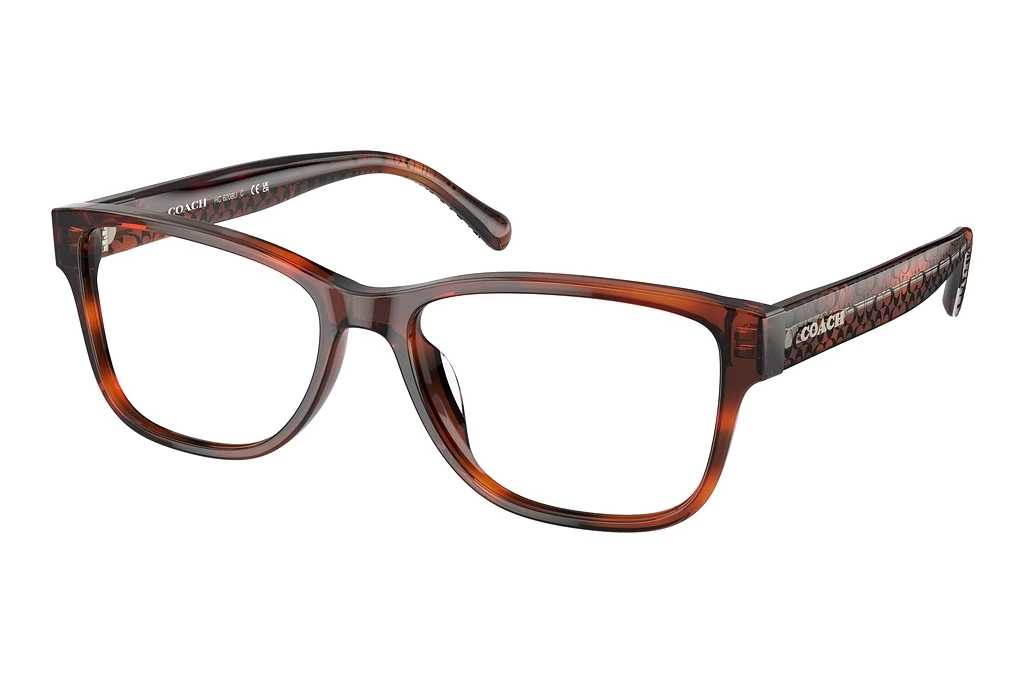 Coach   HC6208U 5741 Caramel Tortoise