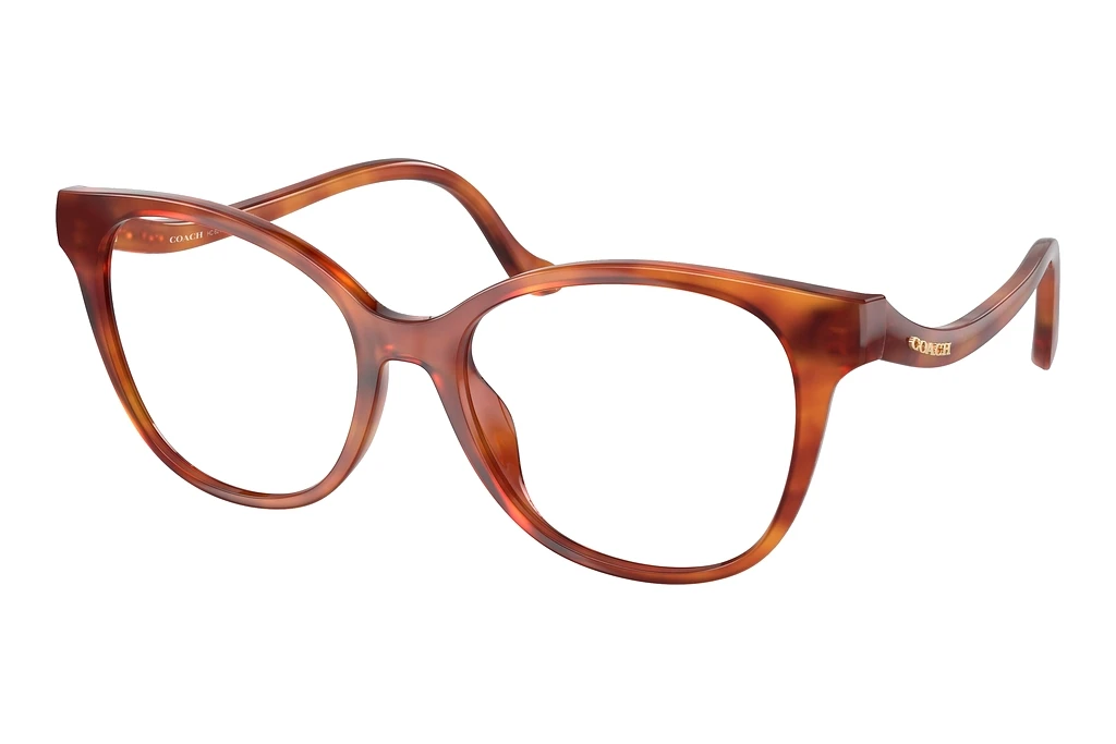 Coach   HC6218U 5774 Caramel Tortoise