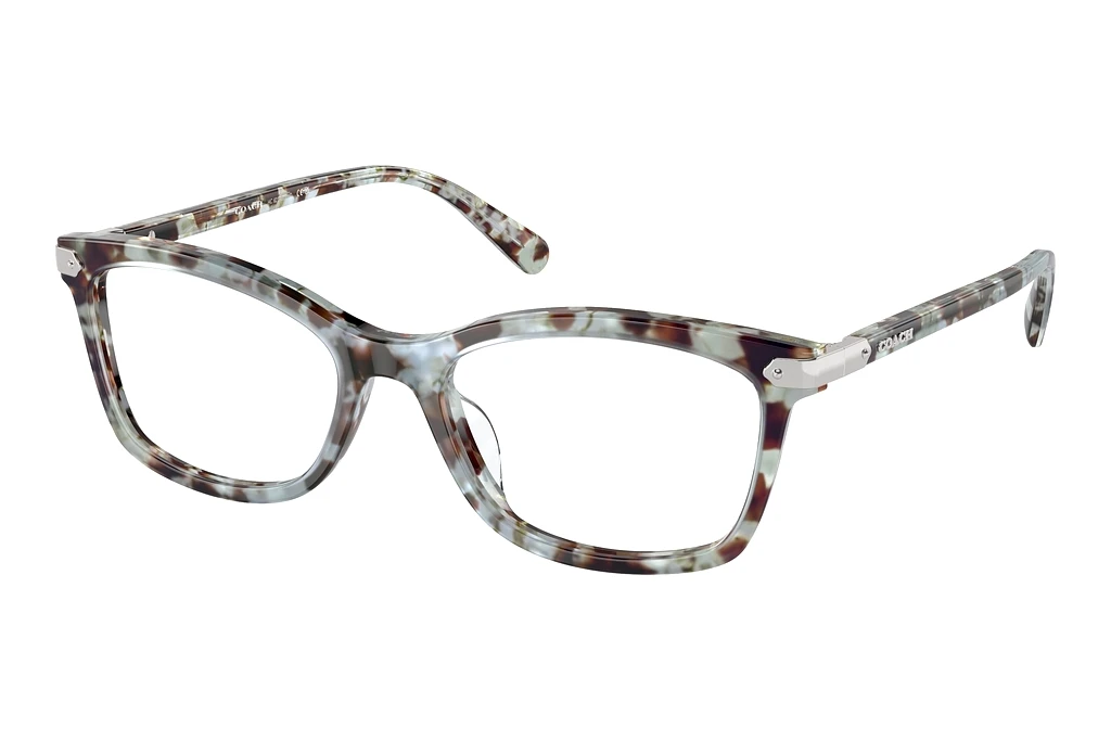 Coach   HC6219U 5778 Seaglass Tortoise