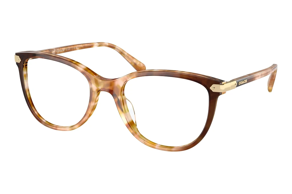 Coach   HC6220U 5775 Caramel Snow Tortoise Gradient