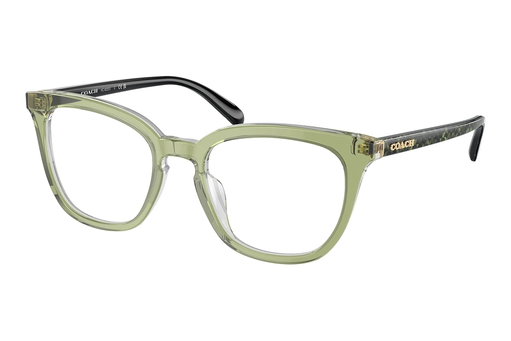 Coach   HC6222U 5786 Transparent Green Hopper
