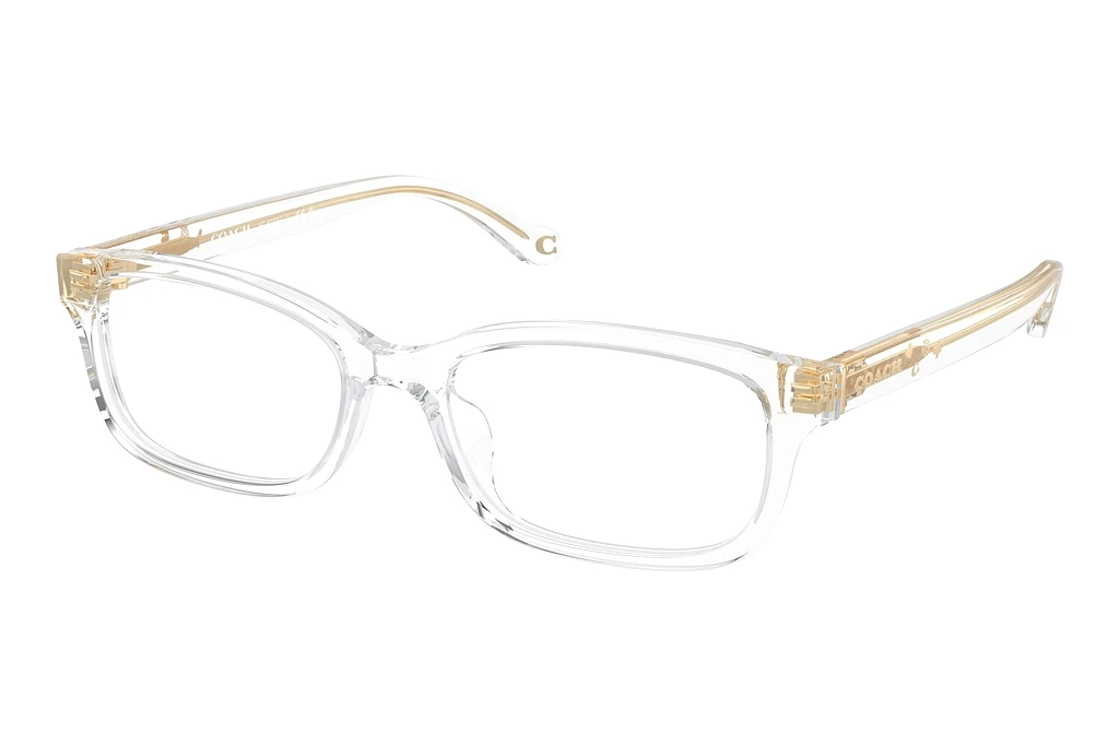 Coach   HC6233U 5111 Transparent Clear