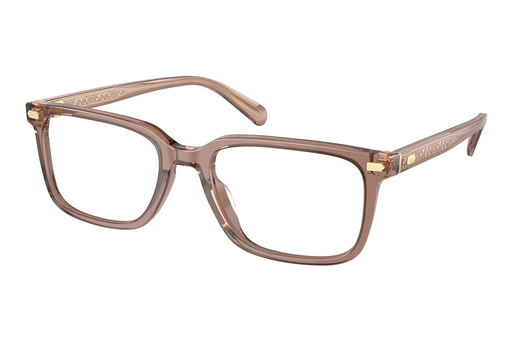 Coach   HC6239U 5819 Transparent Pecan