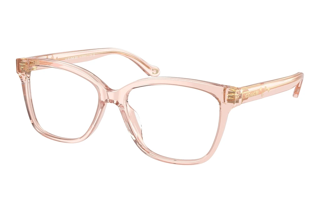 Coach   HC6242U 5668 Transparent Dusty Rose