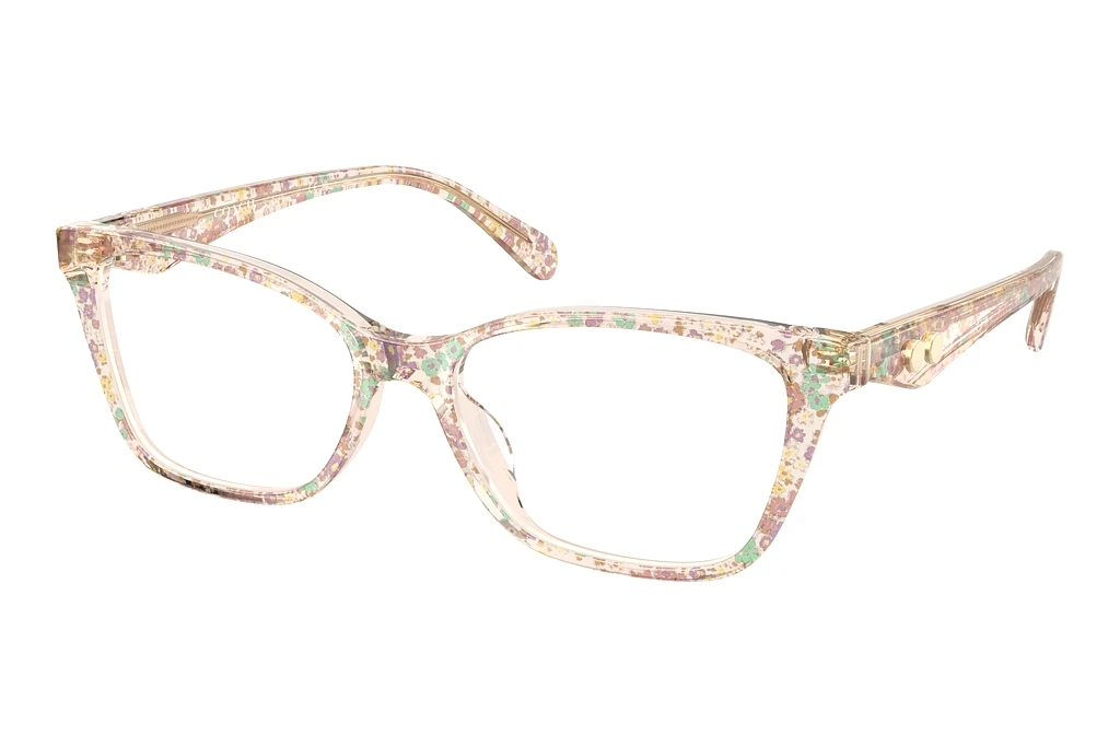 Coach   HC6248U 5894 Transparent Floral Field