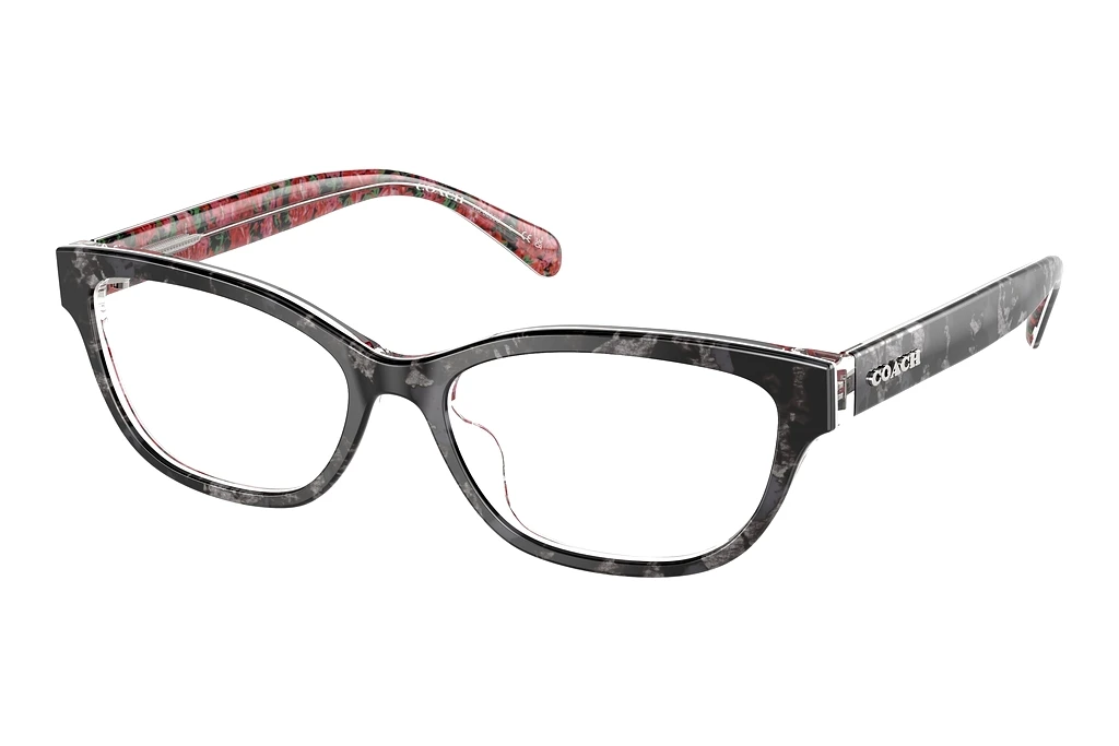 Coach   HC6250U 5856 Black Tortoise/Pink Floral
