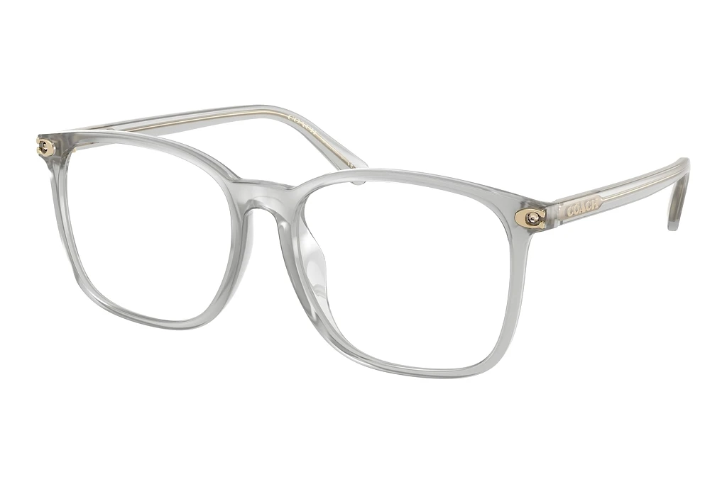 Coach   HC6254BD 5614 Transparent Dove