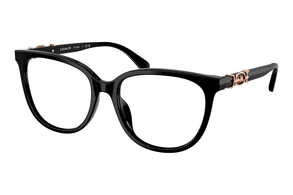 Coach   HC6260U 5002 Black
