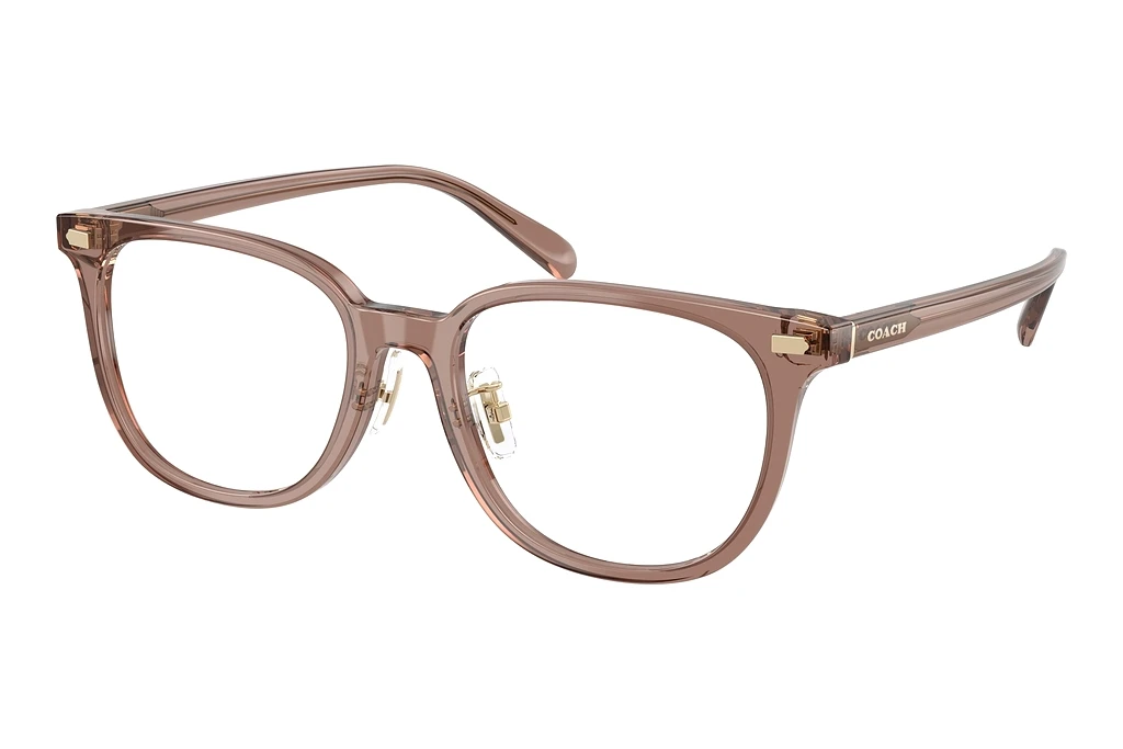 Coach   HC6269D 5819 Transparent Light Brown