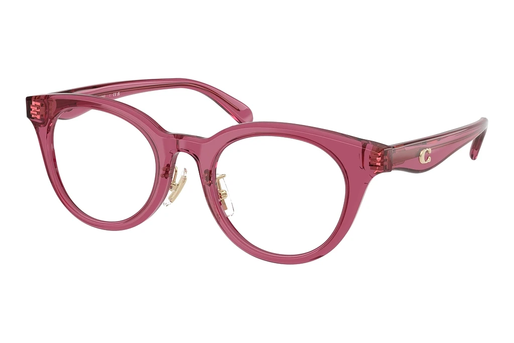 Coach   HC6280D 5824 Transparent Burgundy