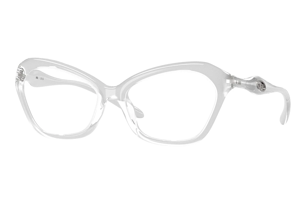 Diesel   DL6003U 2029 Crystal Silver