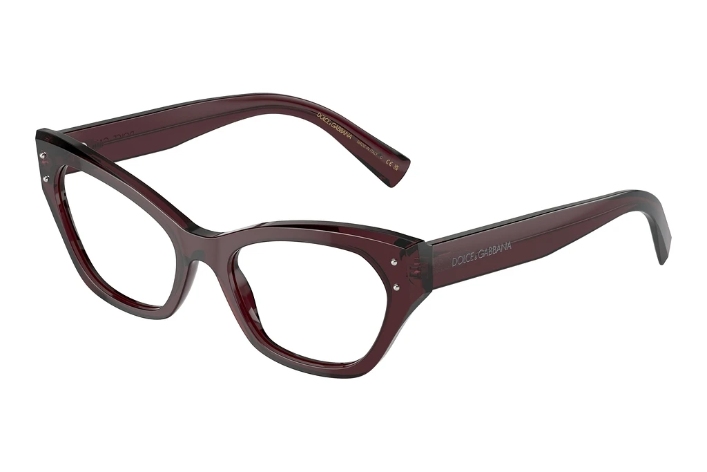 Dolce & Gabbana   DG3385 3045 Transparent Violet