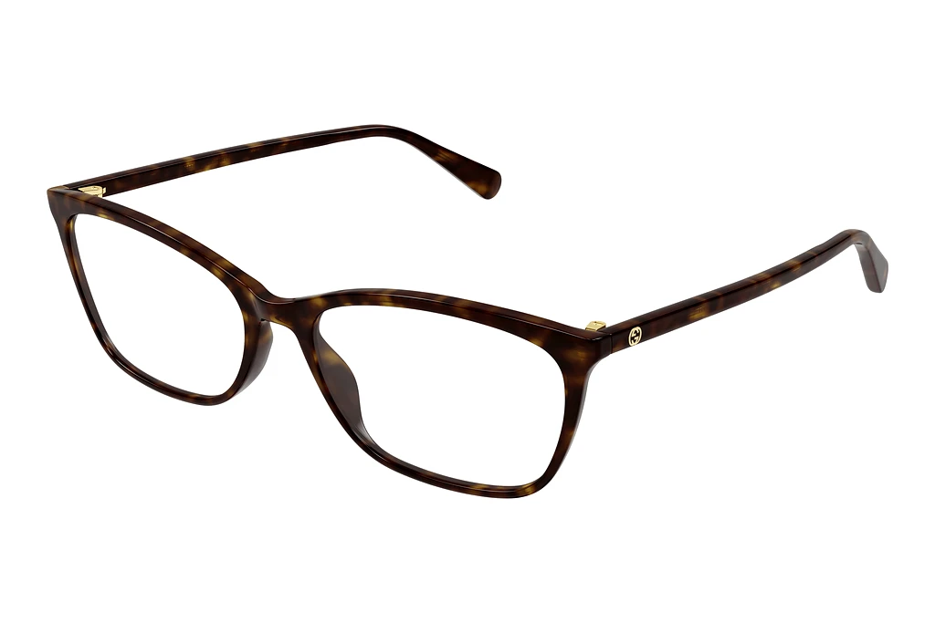 Gucci   GG1930O 002 HAVANA