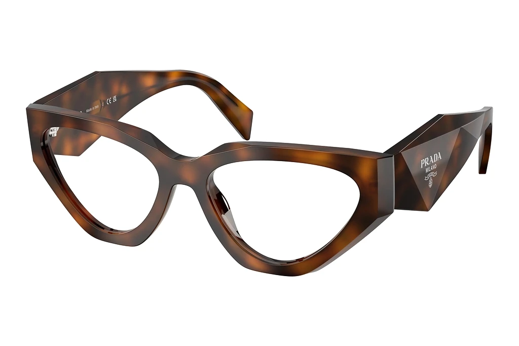 Prada   PR C07V 20D1O1 Juniper Tortoise