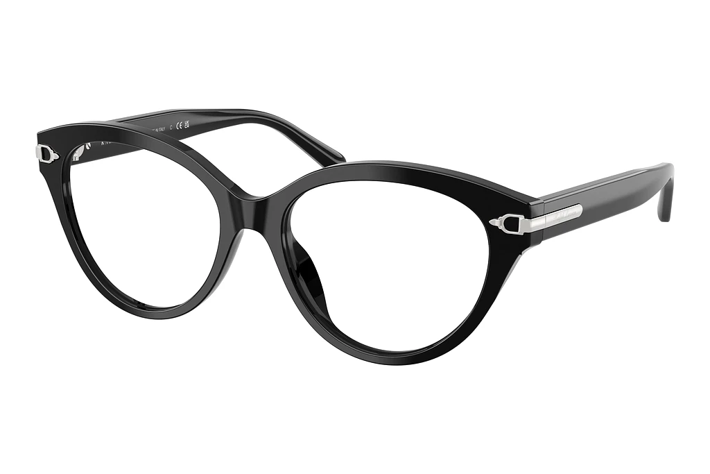 Ralph Lauren   RL6256U 5001 Shiny Black