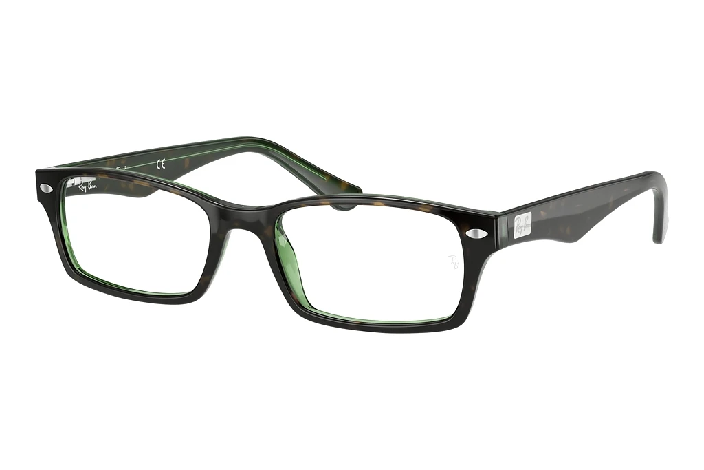 Ray-Ban   RX5206 2445 Havana On Green