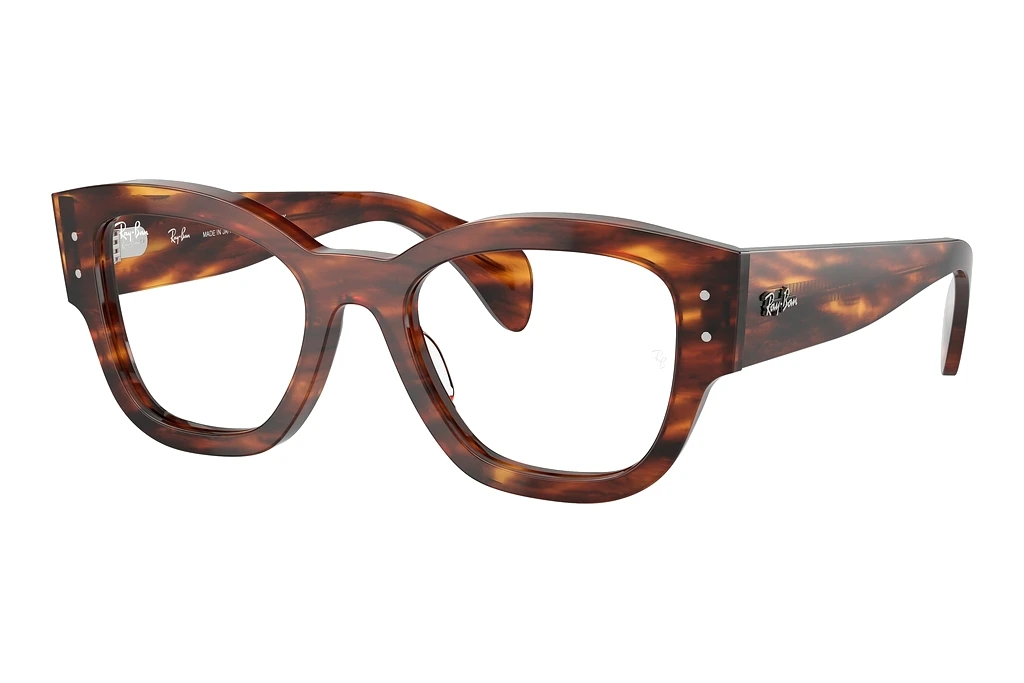 Ray-Ban   RX7681V 2144 Striped Havana