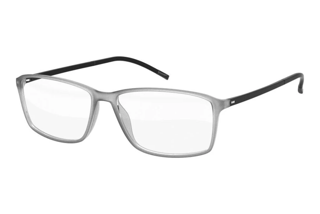 Silhouette   2893 6052 Slate