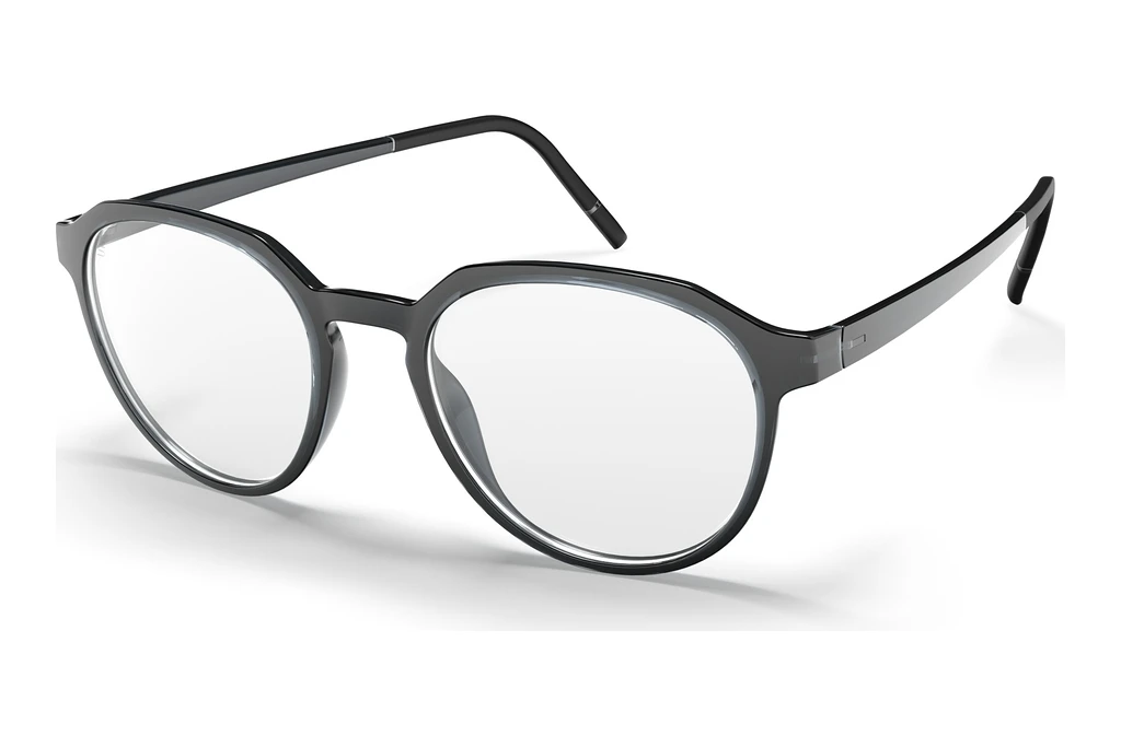Silhouette   2981 6560 Ruthenium / Grey