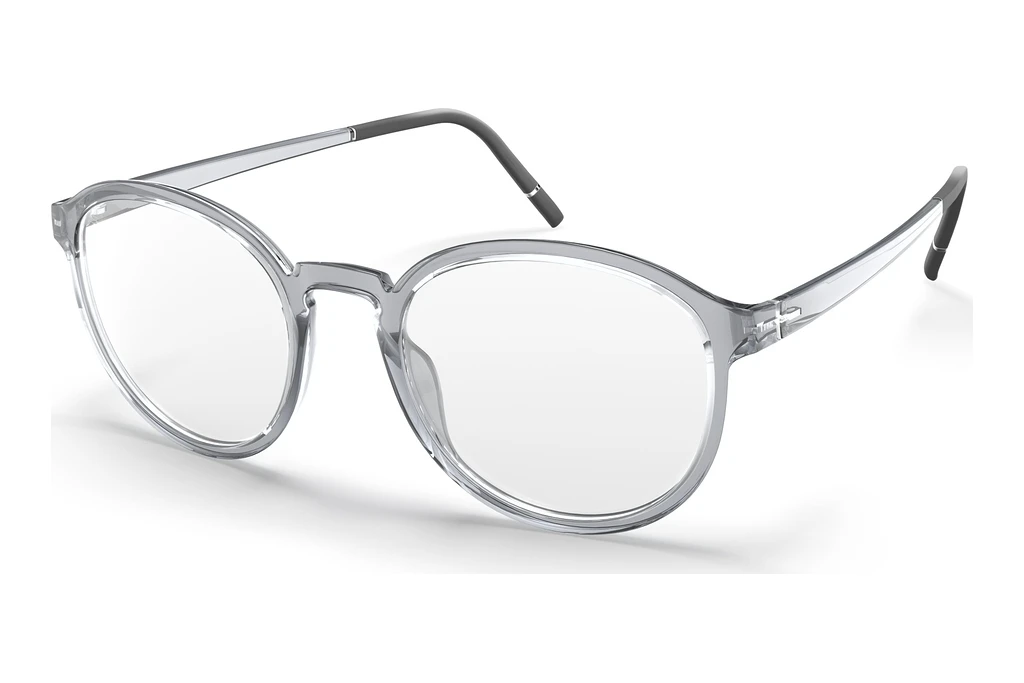 Silhouette   2982 6510 Grey