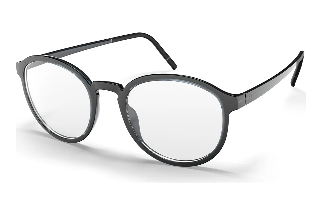Silhouette   2982 6560 Ruthenium / Grey