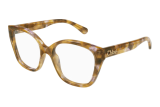 Chloé CH0241O 006 HAVANA