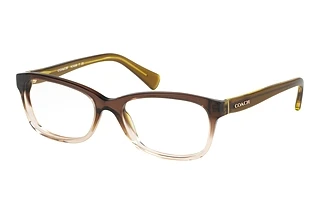 Coach HC6089 5400 Transparent Olive Gradient