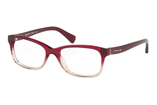 Coach HC6089 5484 Red Beige Gradient