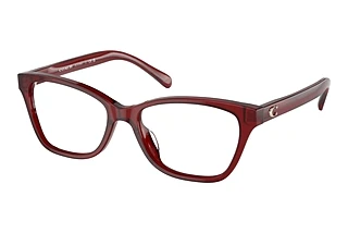 Coach HC6196U 5713 Transparent Red