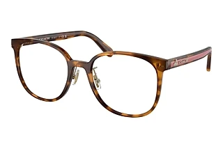 Coach HC6217 5120 Dark Tortoise