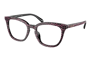 Coach HC6222U 5783 Ruby Pearl Signature C