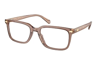 Coach HC6239U 5819 Transparent Pecan