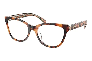 Coach HC6249U 5857 Amber Tortoise/Orange Floral
