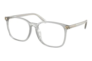 Coach HC6254BD 5614 Transparent Dove