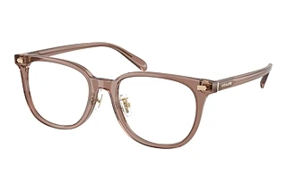 Coach HC6269D 5819 Transparent Light Brown