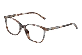 Dolce & Gabbana DG3424 3445 Havana Grey